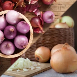 Read more about the article Onions vs. Shallots: What is the difference, and which should you choose for your dish?