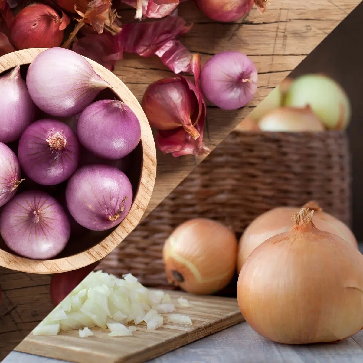 You are currently viewing Onions vs. Shallots: What is the difference, and which should you choose for your dish?